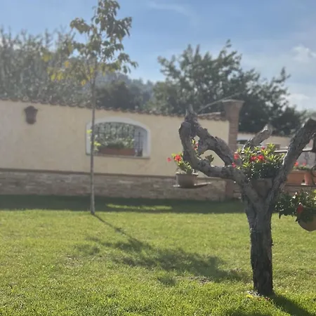 Romi's House Colonna