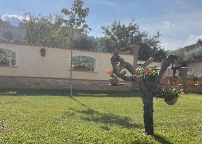 Romi's House Colonna